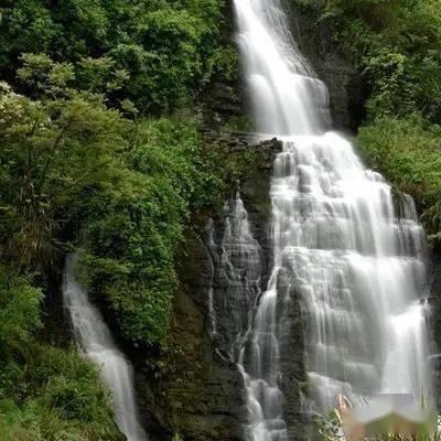 虫虫助手下载